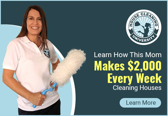Online House Cleaning Course