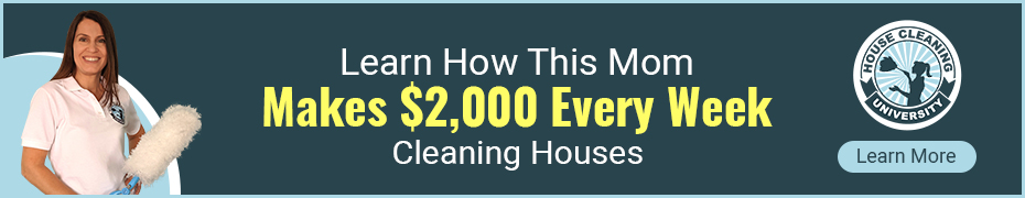 Online House Cleaning Business Course