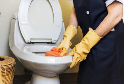 How to clean urine stains from a toilet seat and bowl.