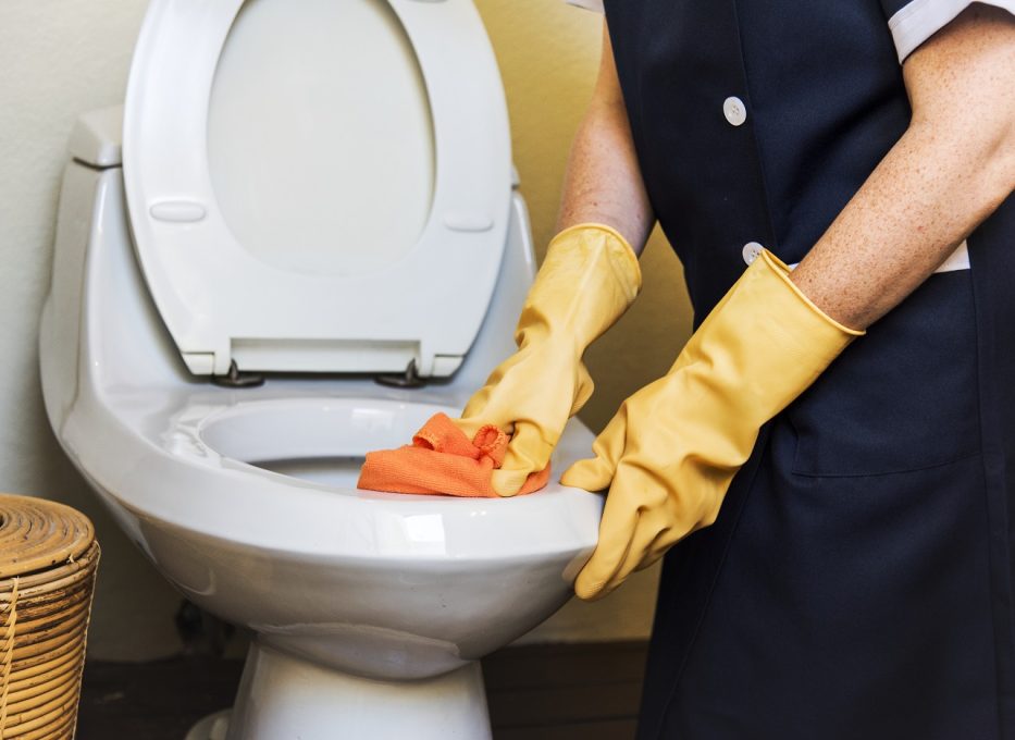 How to clean urine stains from a toilet seat and bowl.