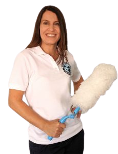 House Cleaning Course Cleaning Lady