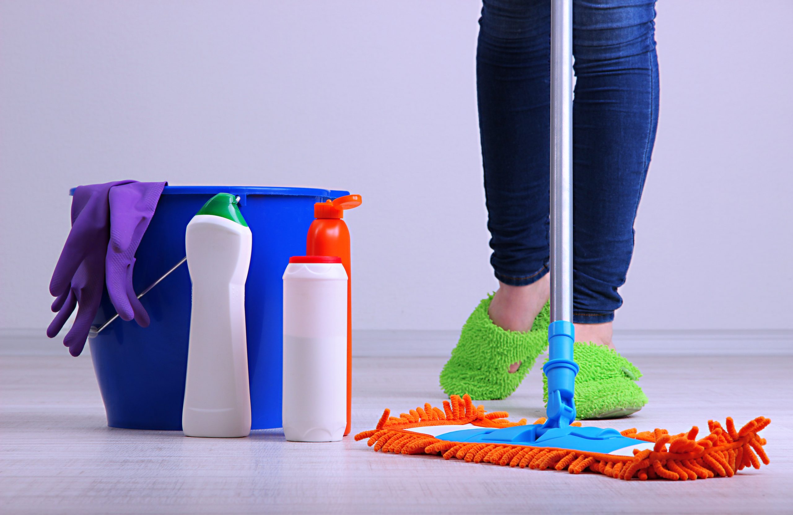 Mops What Are The Best Mops?